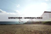 淄博网站开发制作（淄博做网站的公司排名）