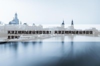 天津正规网站建设项目信息？ 天津正规网站建设项目信息查询？