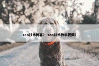 seo技术博客？ seo技术教学视频？