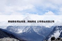 网站排名塔山双喜，网站排名 公司塔山双喜公司