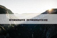 数字媒体网站开发（数字媒体网站开发流程）