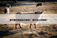 展厅图片网站设计制作？ 展厅设计的网站？