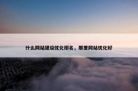 什么网站建设优化排名，那里网站优化好