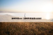 湖州外贸seo（湖州外贸进出口企业）