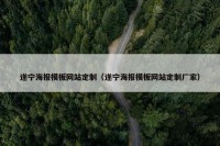 遂宁海报模板网站定制（遂宁海报模板网站定制厂家）