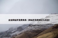 企业网站开发费用表（网站开发费用计入科目）