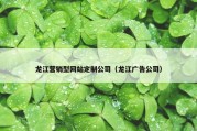 龙江营销型网站定制公司（龙江广告公司）