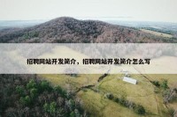 招聘网站开发简介，招聘网站开发简介怎么写
