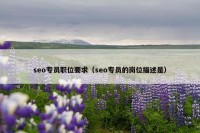 seo专员职位要求（seo专员的岗位描述是）
