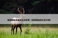深圳网站页面优化分析师（深圳网站优化多少钱）