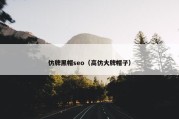 仿牌黑帽seo（高仿大牌帽子）