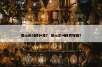 展示形网站开发？ 展示型网站有哪些？