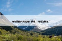 如何做国内网站推广代理，网站怎样推广