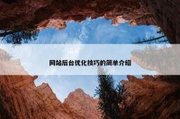 网站后台优化技巧的简单介绍
