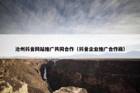 沧州抖音网站推广共同合作（抖音企业推广合作商）