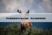 怀化网站建设均匀有为太极？ 怀化太极拳培训班？