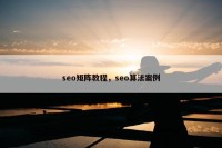 seo矩阵教程，seo算法案例