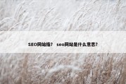 SEO网站指？ seo网站是什么意思？