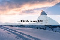 seoh5区别，seosem区别