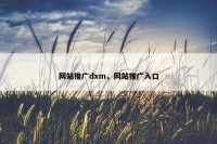 网站推广dxm，网站推广入口