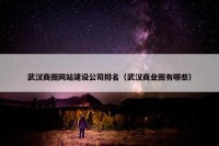 武汉商圈网站建设公司排名（武汉商业圈有哪些）