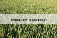 武汉网站优化流程？ 武汉网站建设优化？