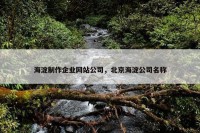 海淀制作企业网站公司，北京海淀公司名称