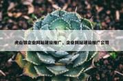 虎山镇企业网站建设推广，企业网站建设推广公司