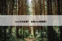 seo方法谷歌？ 谷歌seo新规则？