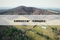 松原网站优化推广（松原网站排名）