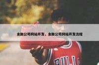 金融公司网站开发，金融公司网站开发流程