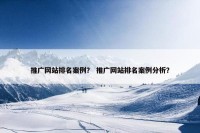 推广网站排名案例？ 推广网站排名案例分析？