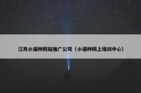 江苏小语种网站推广公司（小语种网上培训中心）