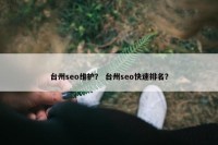 台州seo维护？ 台州seo快速排名？
