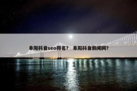 阜阳抖音seo排名？ 阜阳抖音新闻网？