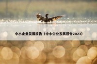 中小企业发展报告（中小企业发展报告2023）