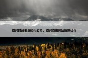 绍兴网站收录优化公司，绍兴百度网站快速优化