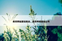 南京网站建设商业，南京网络建站公司