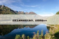 日照正规网站优化制作，日照网站seo