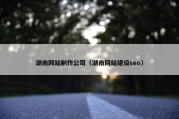 湖南网站制作公司（湖南网站建设seo）