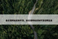 连云港网站定制开发，连云港网站定制开发招聘信息
