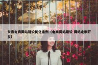 长春电商网站建设优化案例（电商网站建设 网站定制开发）