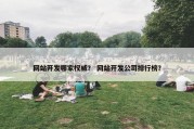 网站开发哪家权威？ 网站开发公司排行榜？