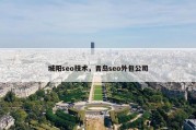 城阳seo技术，青岛seo外包公司