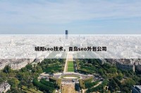 城阳seo技术，青岛seo外包公司