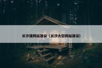 长沙建网站建设（长沙大型网站建设）