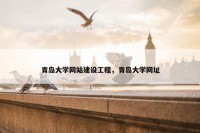 青岛大学网站建设工程，青岛大学网址