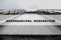 泰安集团网站定制公司地址，泰安集团有限公司招聘