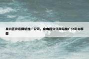 泉山区资讯网站推广公司，泉山区资讯网站推广公司有哪些