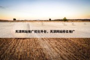 天津网站推广优化外包，天津网站排名推广